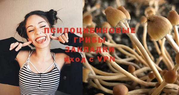 хмурый Алзамай