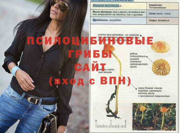герыч Саяногорск
