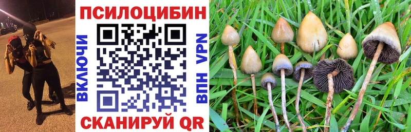 Галлюциногенные грибы Magic Shrooms даркнет как зайти Кыштым blacksprut маркетплейс