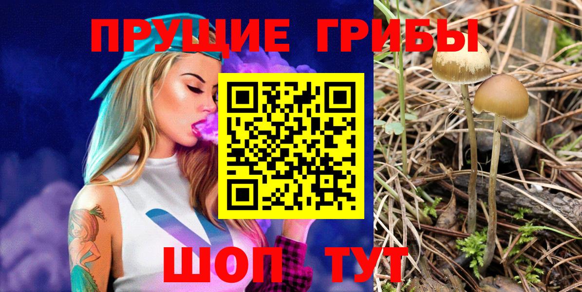 Псилоцибиновые грибы Cubensis Кыштым