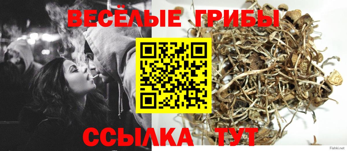 Кыштым  Галлюциногенные грибы Magic Shrooms  Вход с VPN 